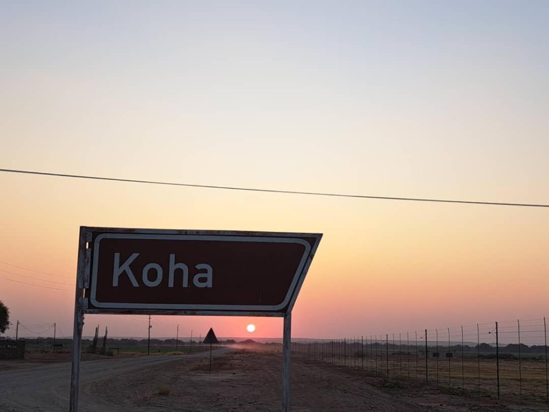 Koha Guesthouse مارينتل المظهر الخارجي الصورة