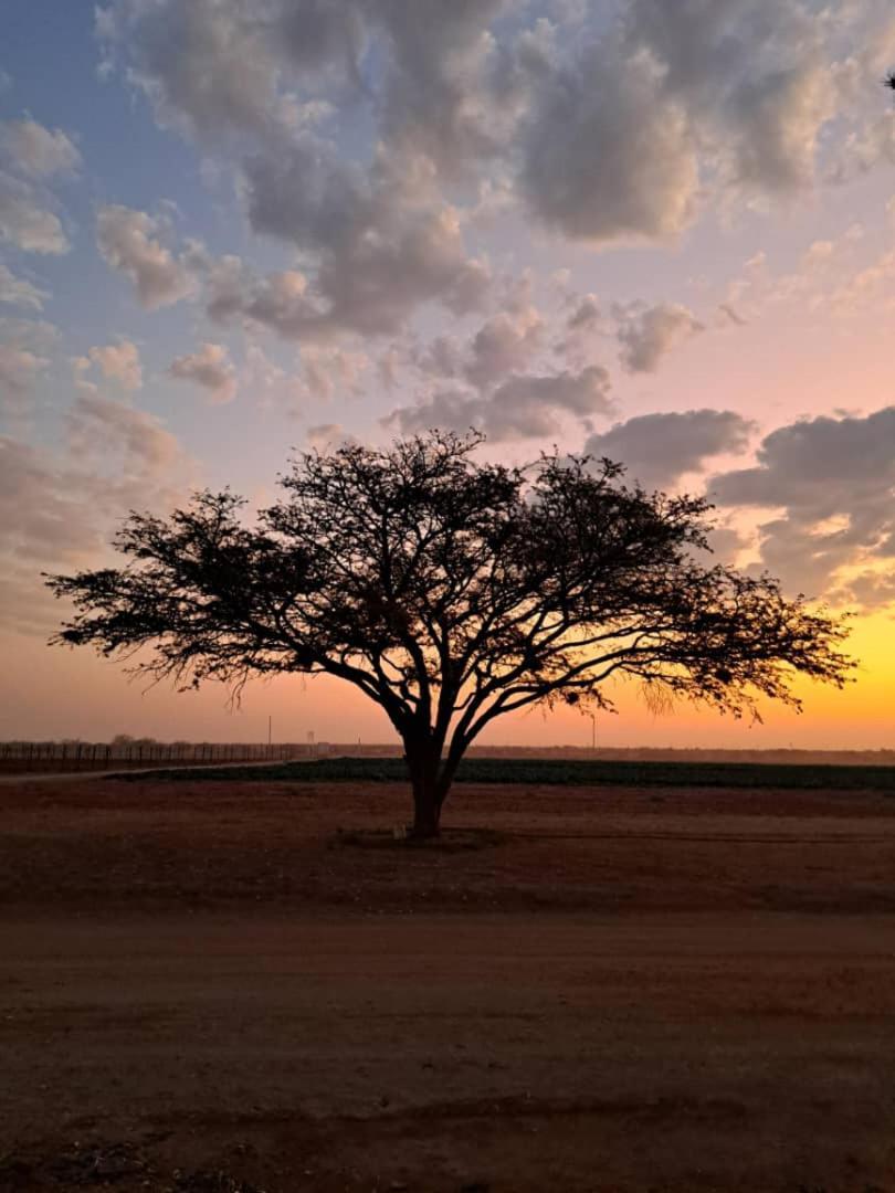 Koha Guesthouse مارينتل المظهر الخارجي الصورة